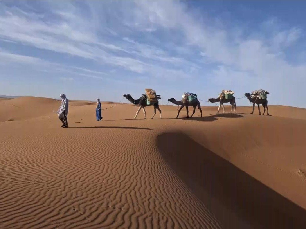 Trekking et randonnées dans le désert du Maroc