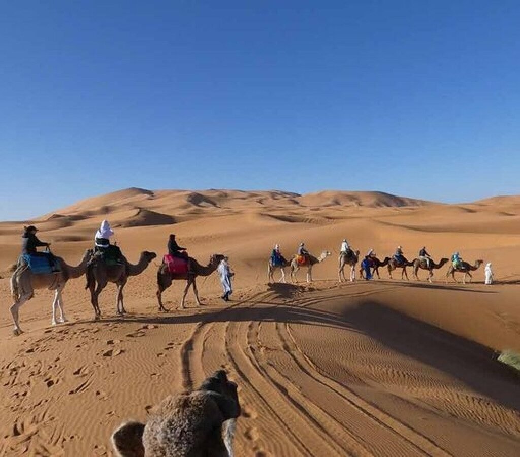 Errachidia Desert Tours | Explore Southern Morocco
