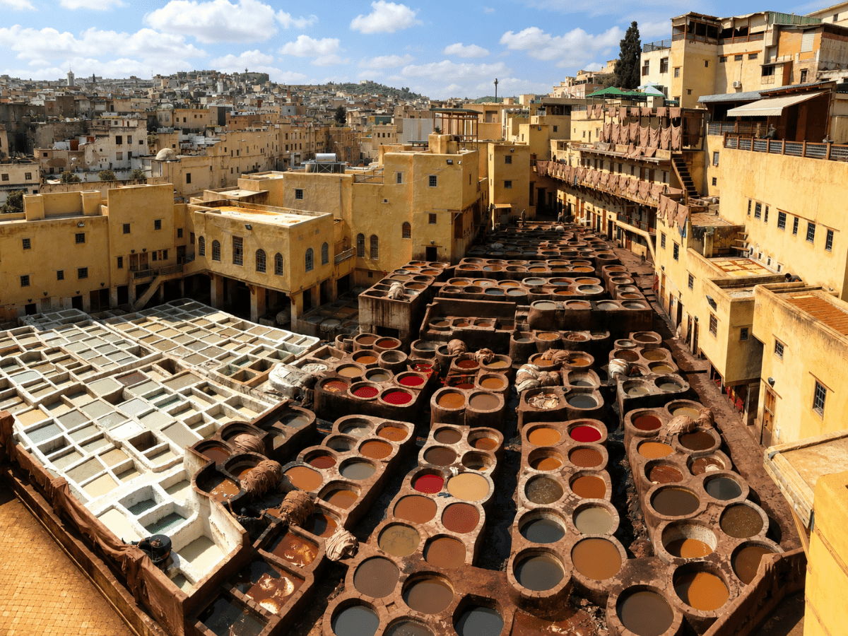 Fes Tanneries | Chouara Tannery & Leather Guide